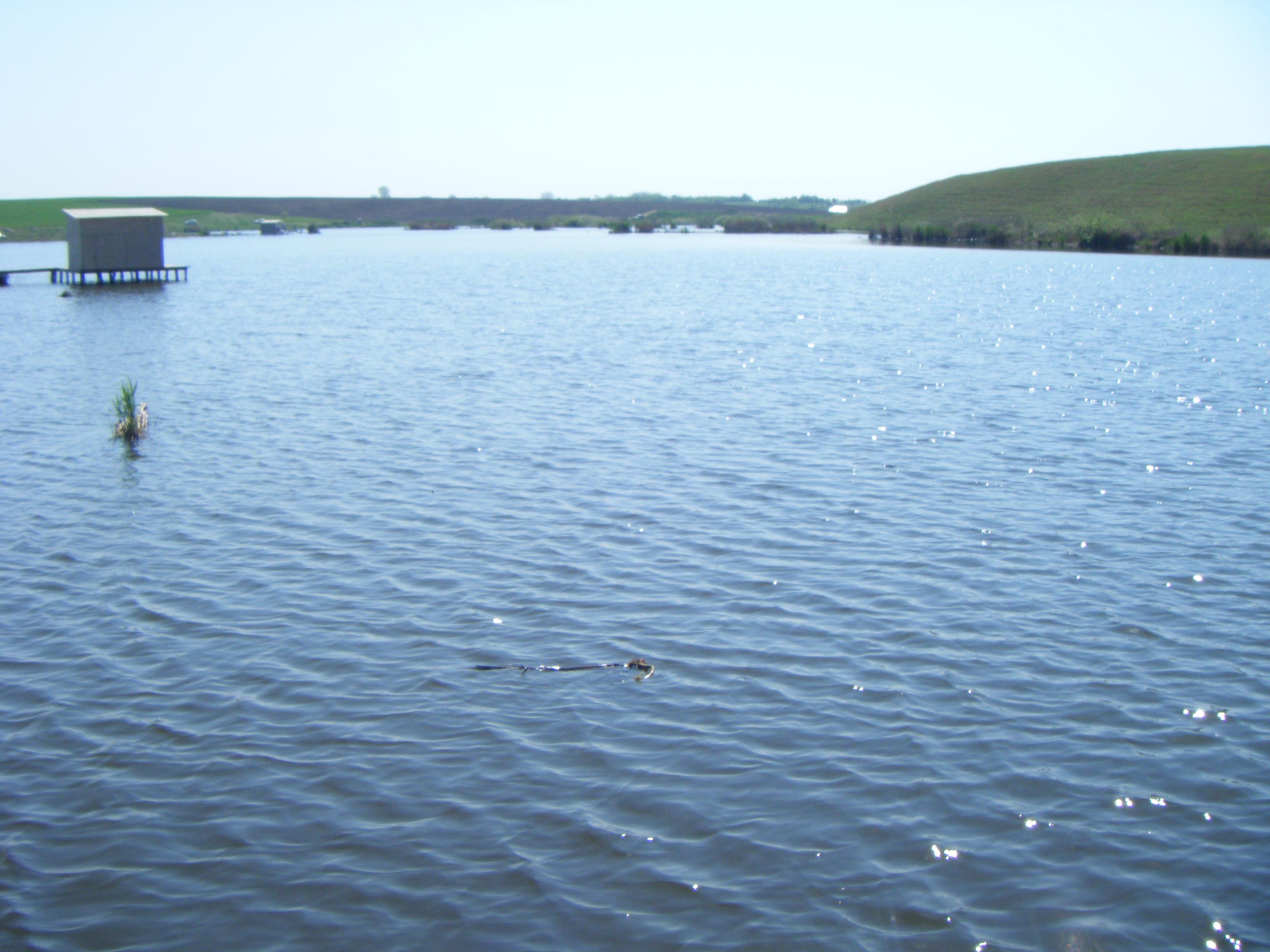 Chiroiu 4  - DSCF1114.JPG